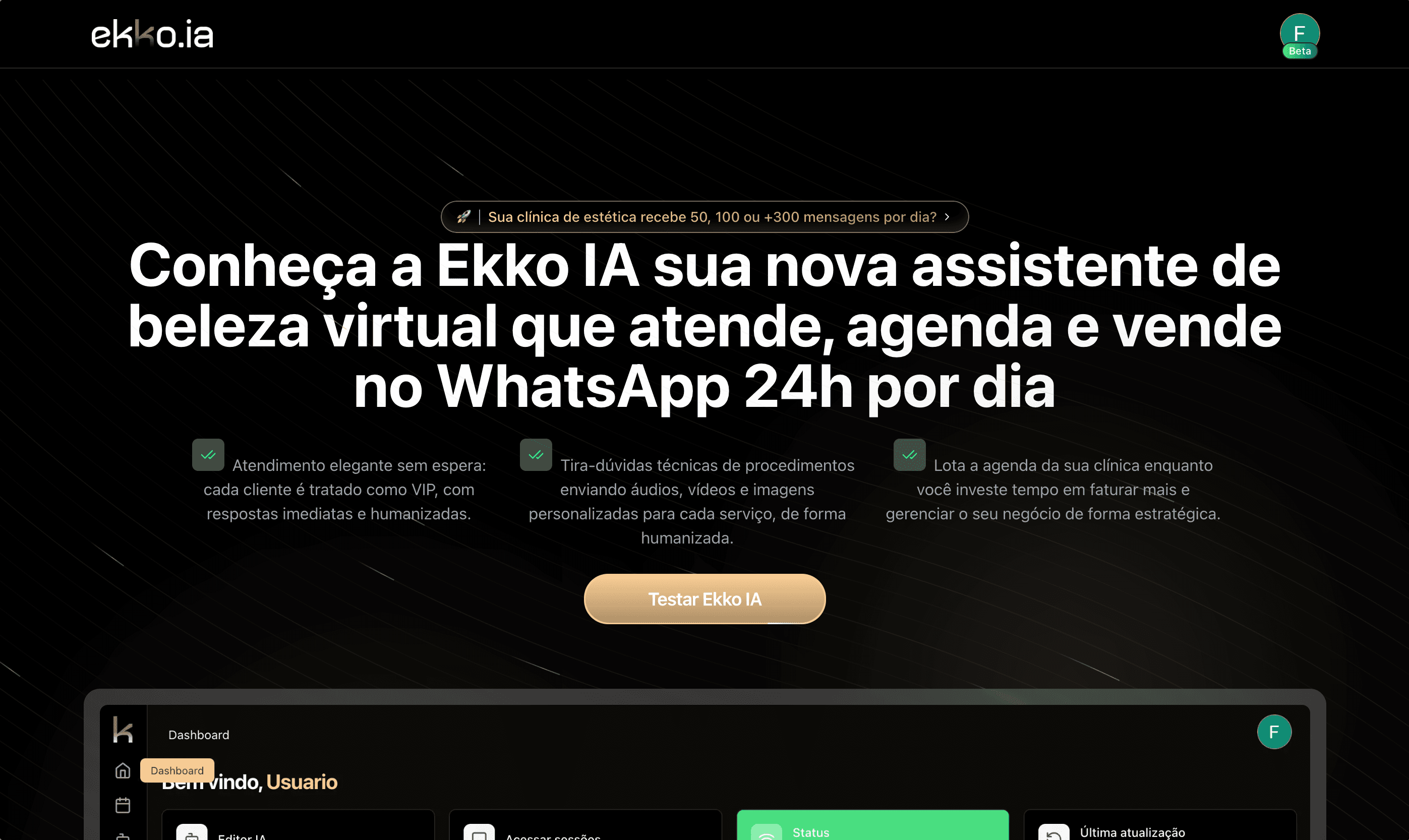 Imagem principal de Ekko Ia